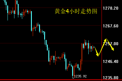 现货黄金最新行情分析，市场走势与投资建议