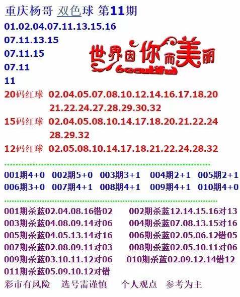 新澳天天免费资料单双大小，构建解答解释落实_xl19.40.32