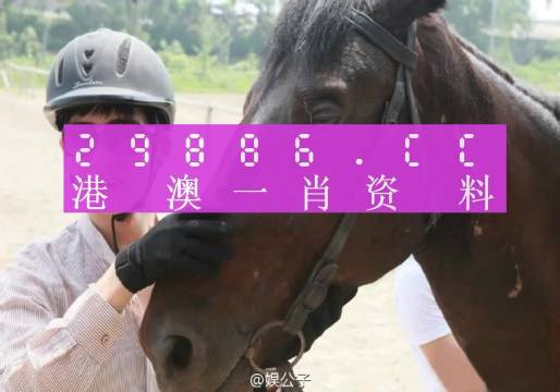 澳门必中一肖一码，综合解答解释落实_pd50.56.94