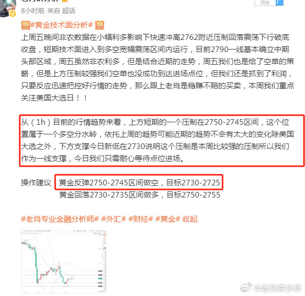 一肖一码中持一一肖一码，时代解答解释落实_1yl32.96.98