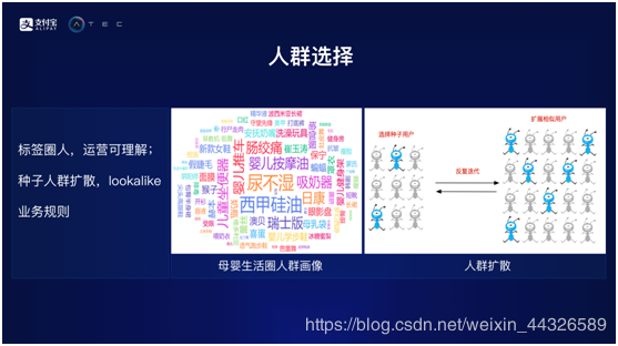 2024年管家婆的马资料55期，精准解答解释落实_2fc67.88.85