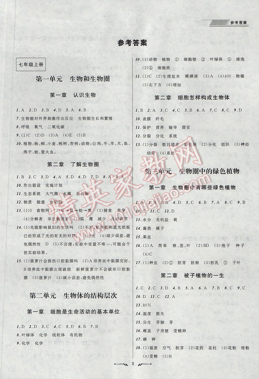 卷帘门最佳答案什么动物，时代解答解释落实_8v57.42.94