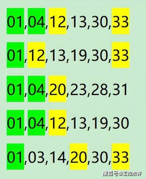 一肖一码100-准资料，定量解答解释落实_j491.06.30