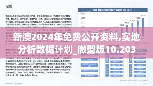 2024新澳最准最快资料，统计解答解释落实_8uv11.69.63