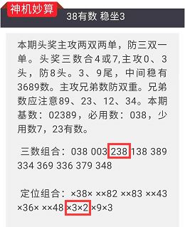 今晚上澳门特马必中一肖，构建解答解释落实_o797.62.30