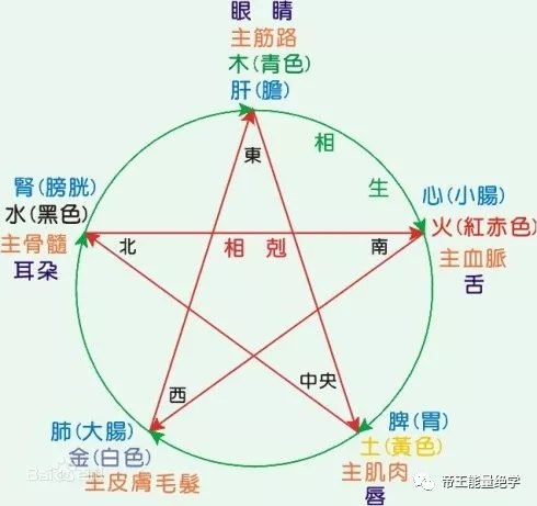 55555525Ccm王中王五行图，深度解答解释落实_qvr40.40.20