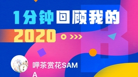 新奥资料免费精准新奥生肖卡，前沿解答解释落实_cl96.02.76