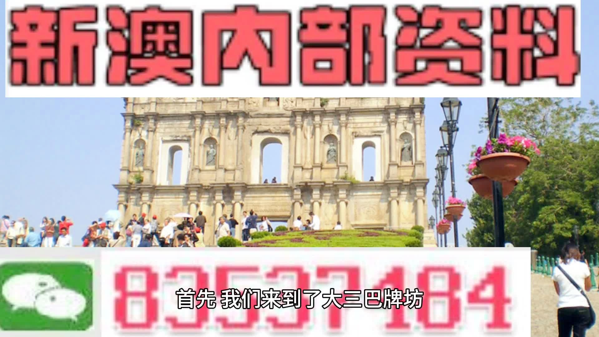 2024新澳三期必出三生肖，精准解答解释落实_d797.56.29